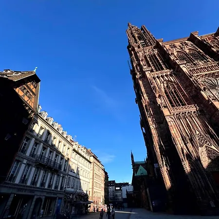 Les Aristocaths Apartment *