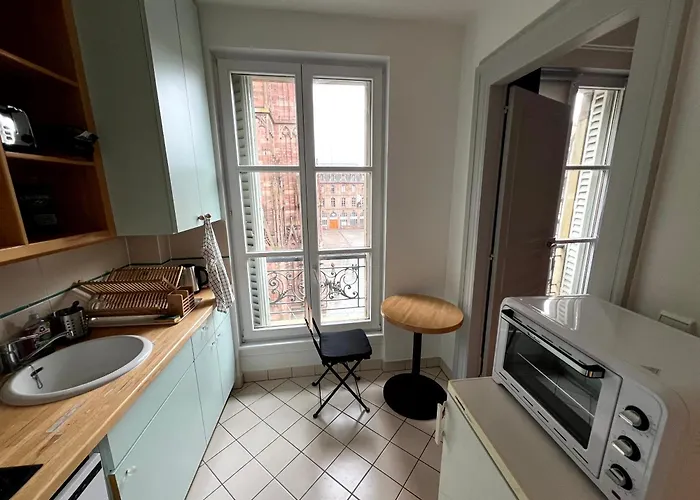 Les Aristocaths Appartement Straatsburg