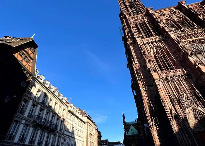 Les Aristocaths Apartment *